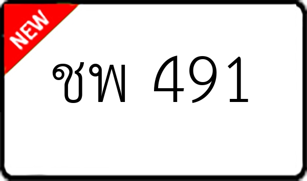 ชพ 491